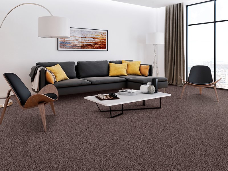 Living room with black furniture, white walls and brown carpet from Simonian Flooring Inc in Village, NV